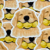 Dog With Tennis Balls Sticker