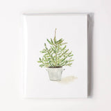 Evergreen Christmas Assorted Notecard Set
