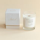 White Pumpkin & Smoke: Luxury Candle (65+ hour burn time)