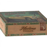 Grandma & Grandpa Mice in Cigarbox