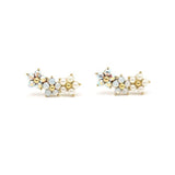 Floral Climber Earrings