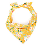 Foggy Dog Bandana