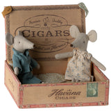 Mum & Dad Mice in Cigar Box