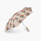Dahlia Umbrella