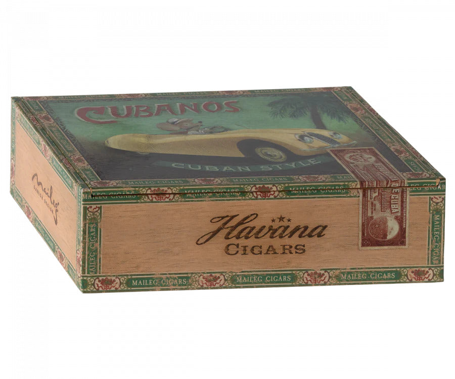 Grandma & Grandpa Mice in Cigarbox