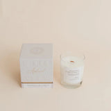 Fraser Fir & Norway Spruce Candle