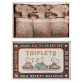 Baby Triplets in Box