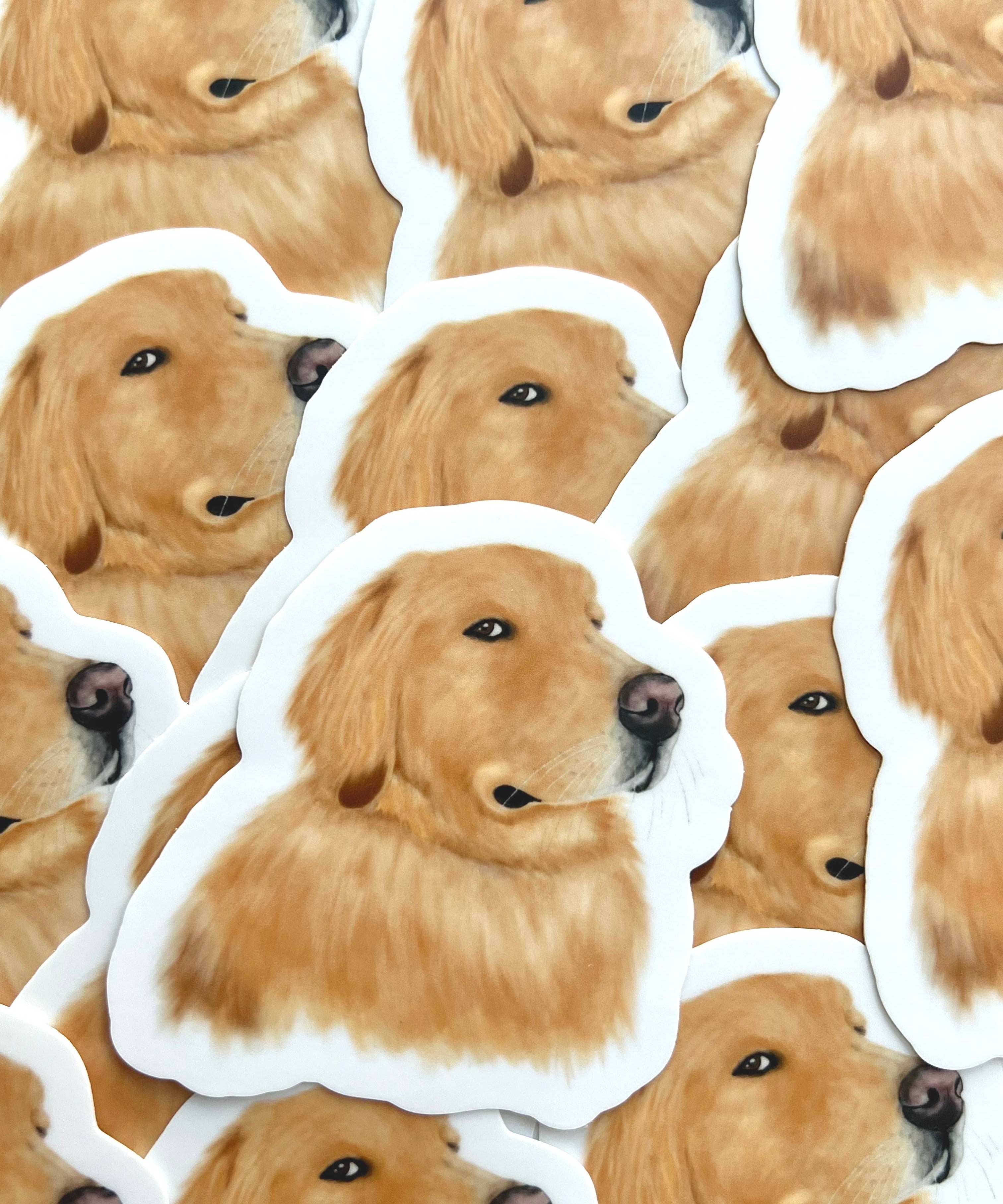 Side Eye Golden Retriever Sticker