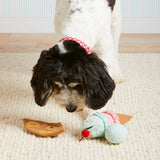 Ice Cream Interactive Dog Toy