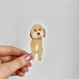 Maple Doodle Sticker
