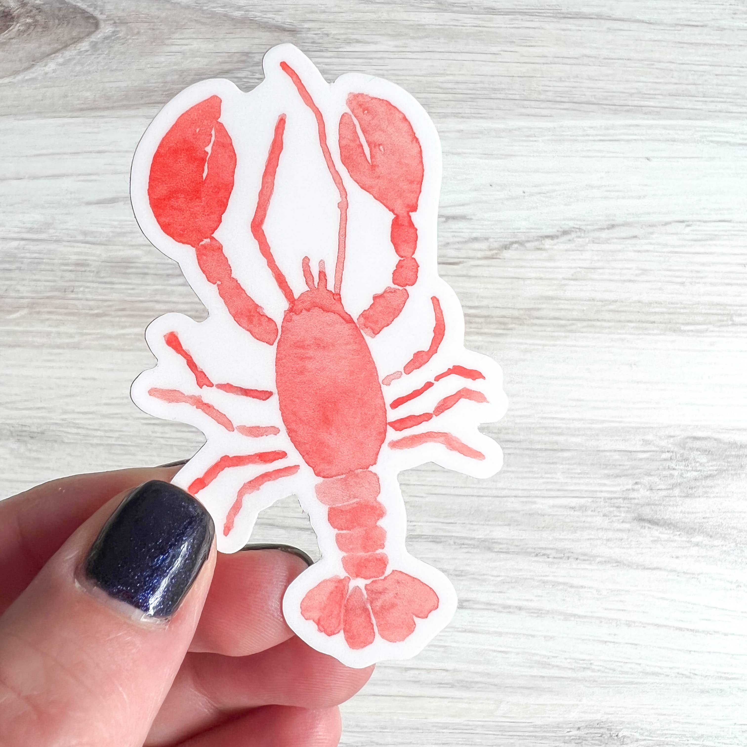 Watercolor Lobster Sticker | Red Lobster Sticker