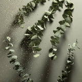 Eucalyptus Nourishing Hand Sanitizing Wipes