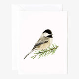 Evergreen Christmas Assorted Notecard Set