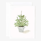 Evergreen Christmas Assorted Notecard Set