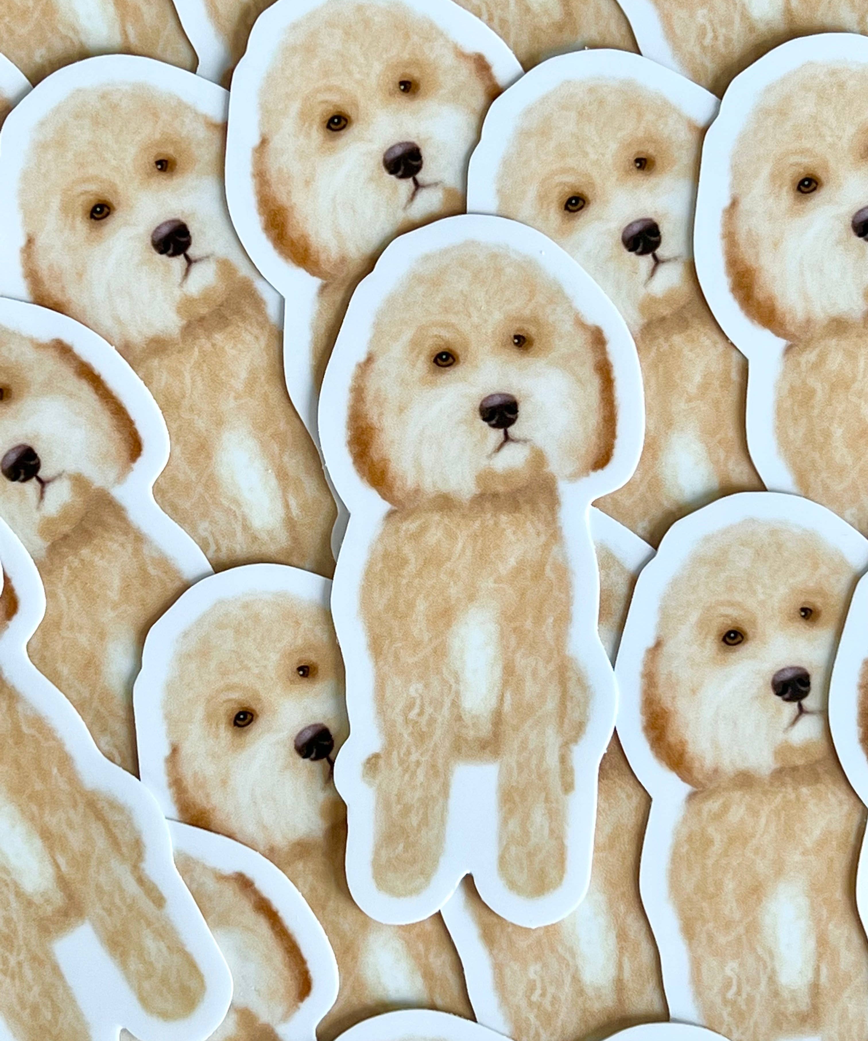 Maple Doodle Sticker