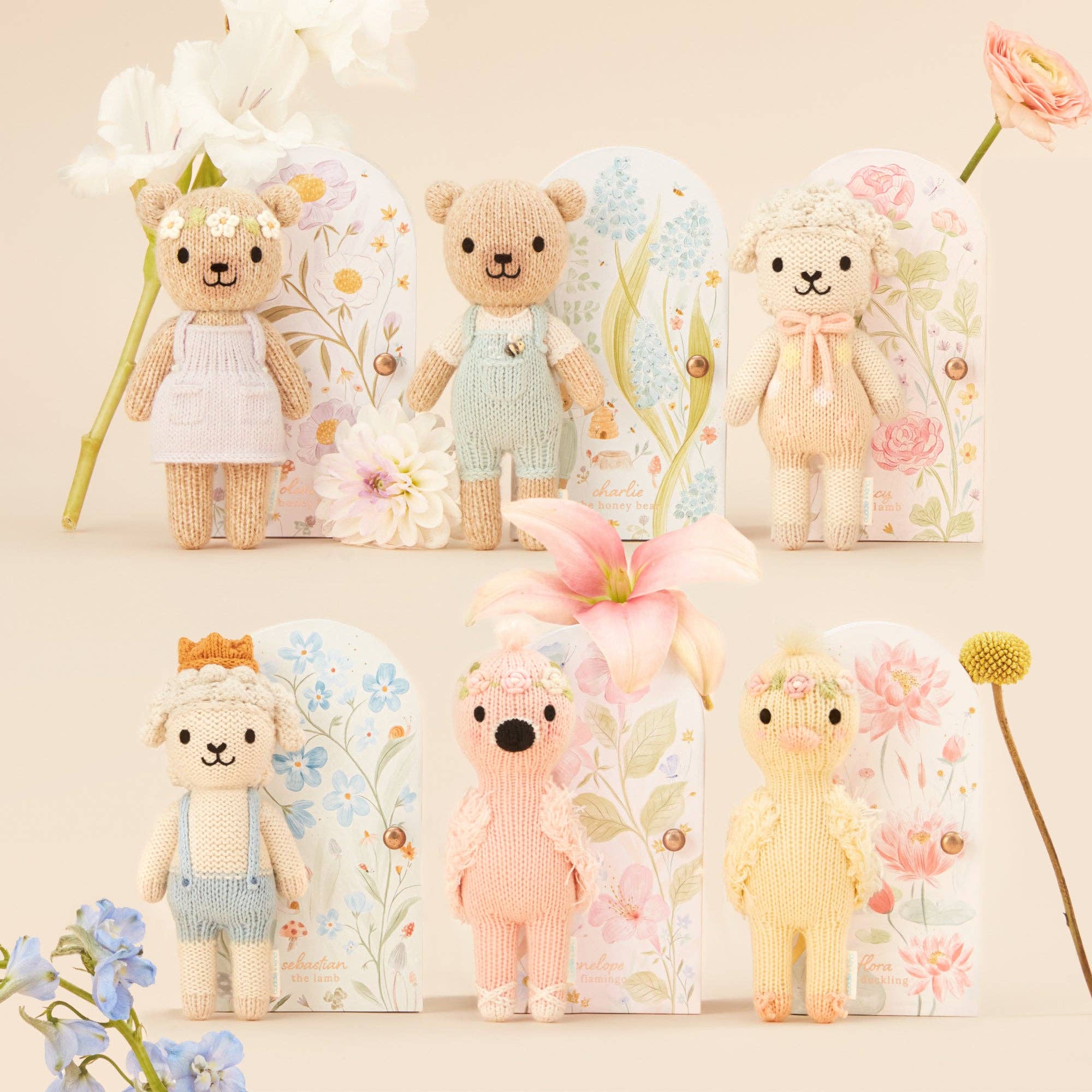 Tiny Olivia the Honey Bear