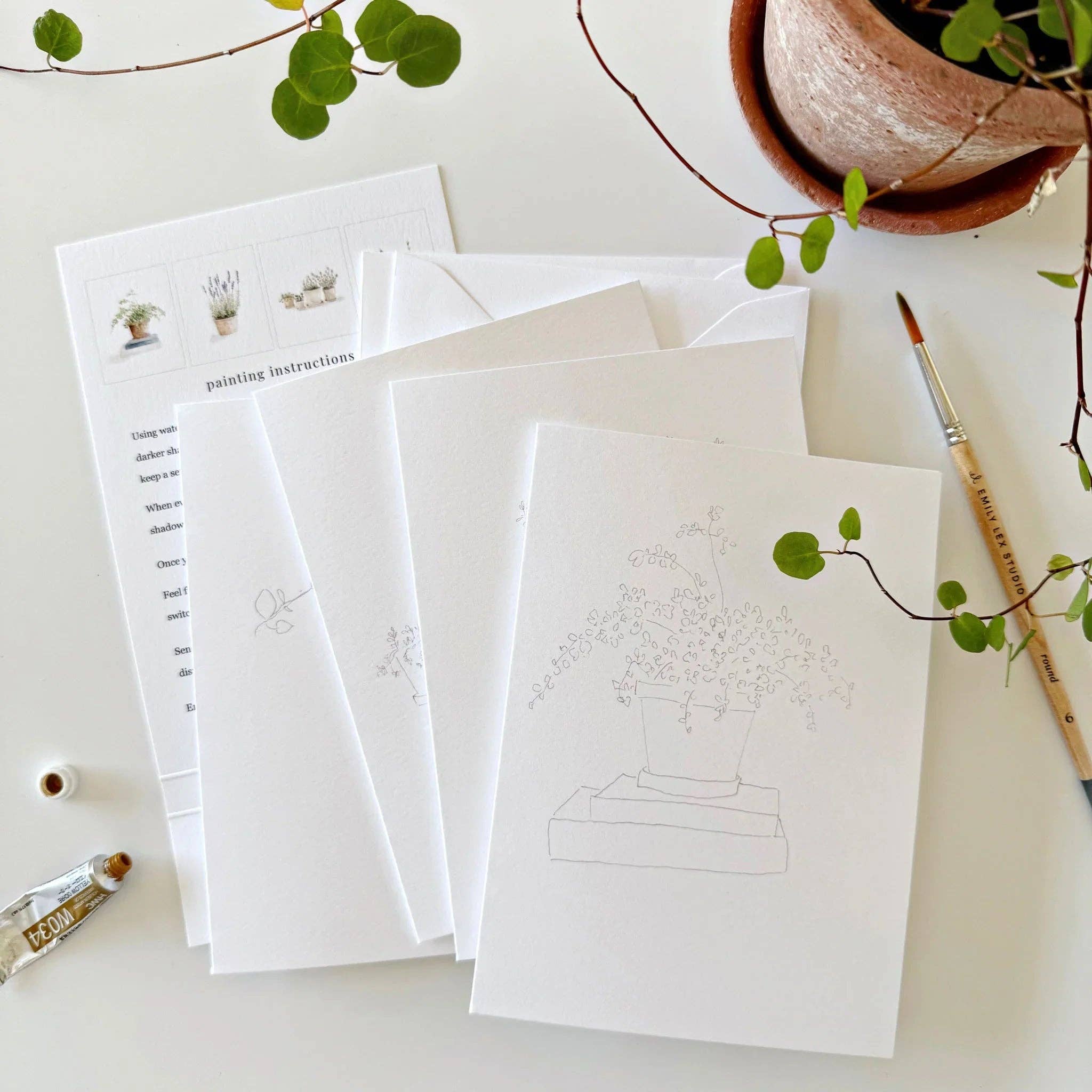 Potted Plants Paintable Watercolor Notecard Set